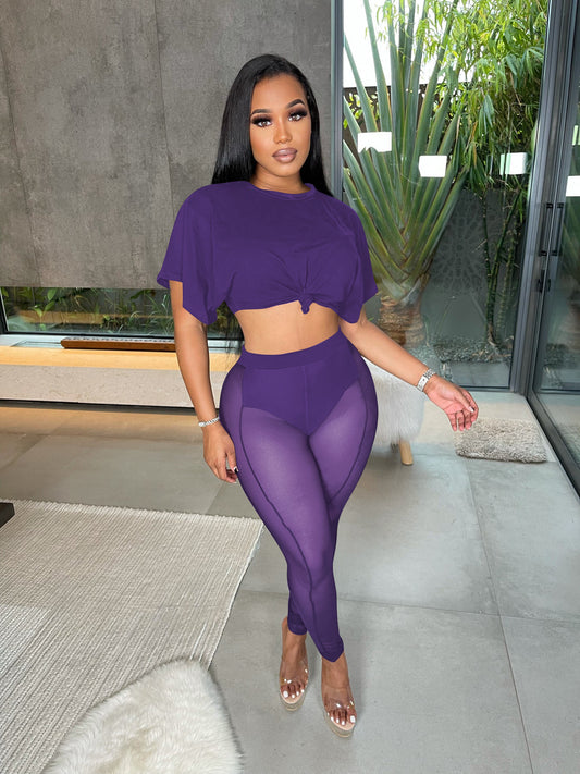 2 Piece Set High Waist Pants Mesh See Through Crew Neck Crop Top